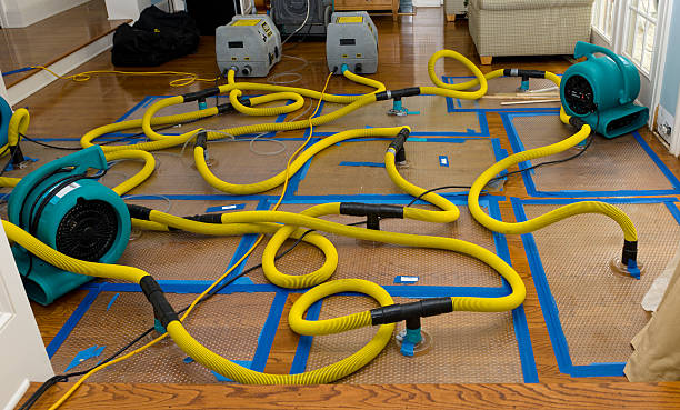 Professional Sewage Cleanup technician working in Centuria, WI